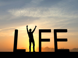 life_box_summer