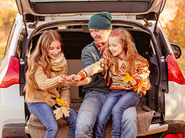 Auto Insurance