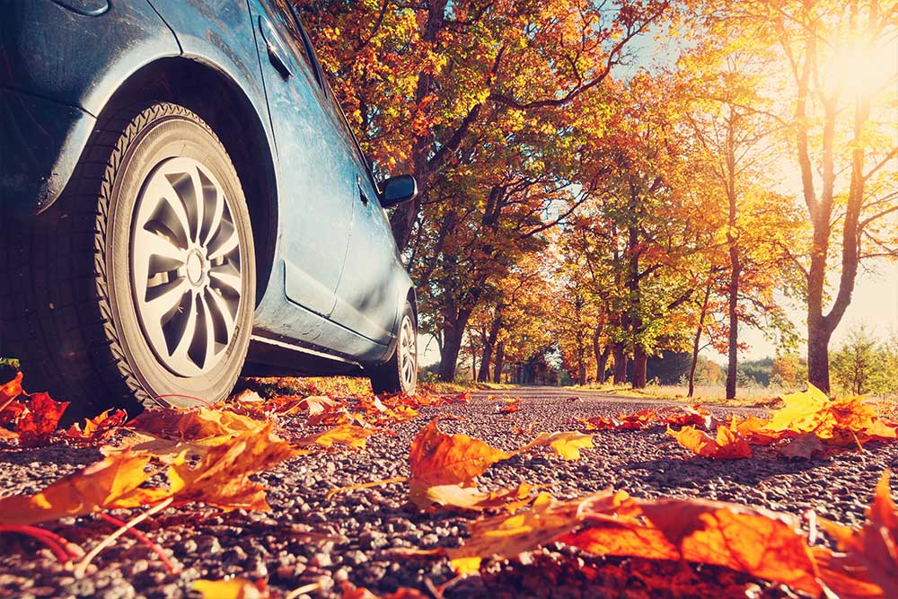Auto Insurance - Fall Content Auto Insurance