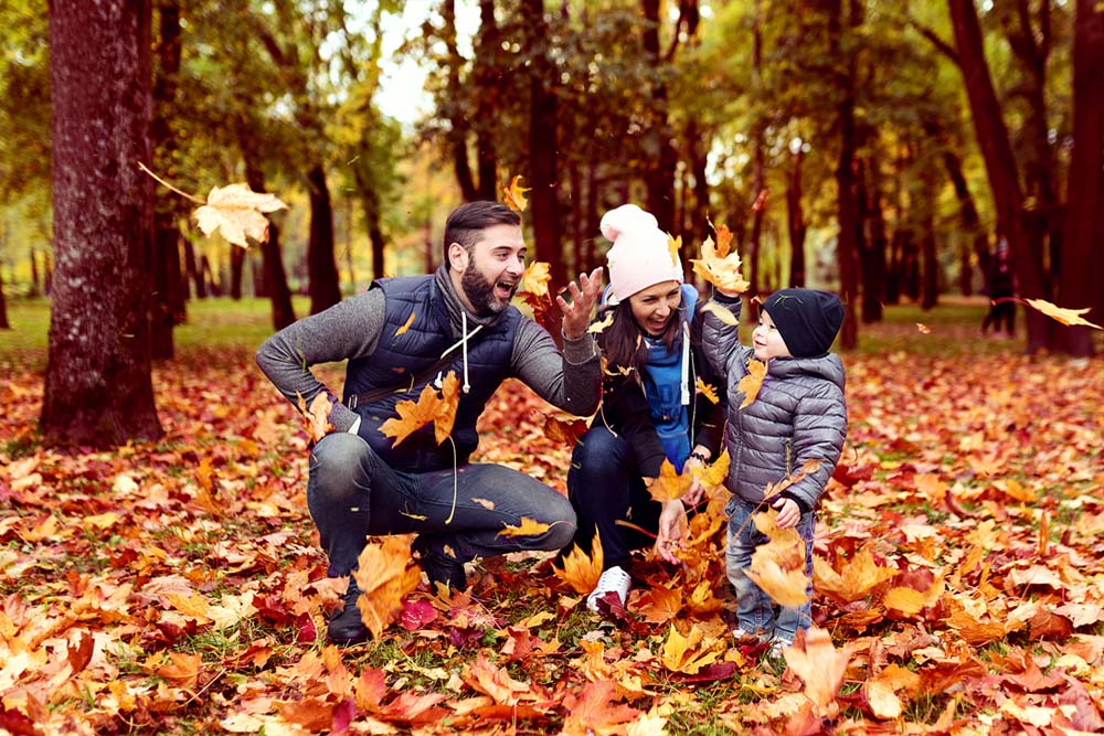 Life Insurance - Fall Content Life Insurance